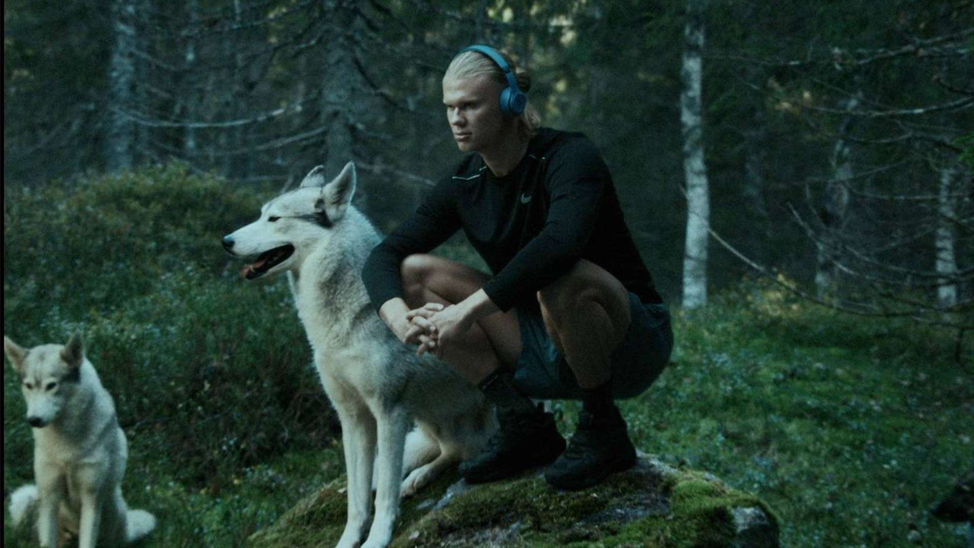 教练的带领 教练的带领